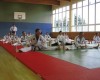 2008 Seminar Austria